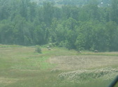 Enlarge photo 421