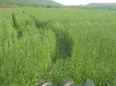 Enlarge photo 383