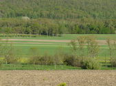 Enlarge photo 390