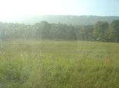 Enlarge photo 428