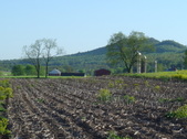 Enlarge photo 391