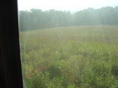 Enlarge photo 393