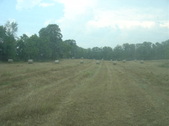 Enlarge photo 411
