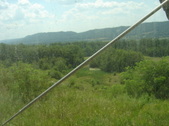 Enlarge photo 423