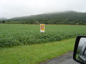 Enlarge photo 429