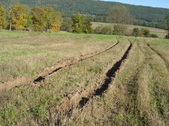 Enlarge photo 448