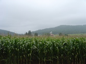 Enlarge photo 440
