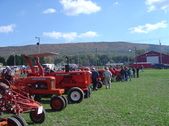 Enlarge photo 461