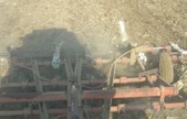 Enlarge photo 195