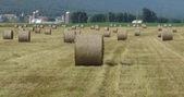 Enlarge photo 204