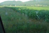 Enlarge photo 207