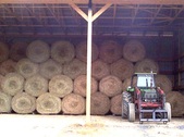 Enlarge photo 160