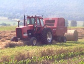 Enlarge photo 165