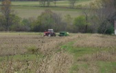 Enlarge photo 220