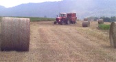 Enlarge photo 157
