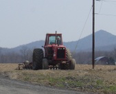 Enlarge photo 54