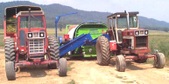 Enlarge photo 84