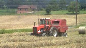 Enlarge photo 161