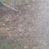 Enlarge photo 73