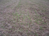 Enlarge photo 36