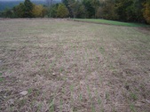 Enlarge photo 37