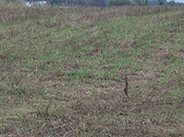 Enlarge photo 35