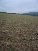 Enlarge photo 34