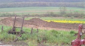 Enlarge photo 126