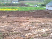 Enlarge photo 127