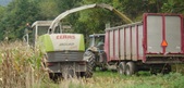 Enlarge photo 44