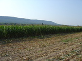 Enlarge photo 235