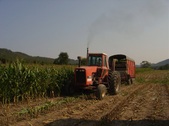 Enlarge photo 239