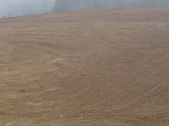 Enlarge photo 236