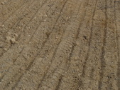 Enlarge photo 237