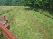 Enlarge photo 249