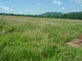 Enlarge photo 248