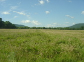 Enlarge photo 247