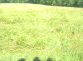 Enlarge photo 246