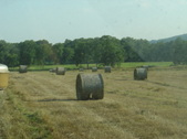 Enlarge photo 244