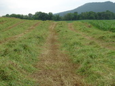 Enlarge photo 280