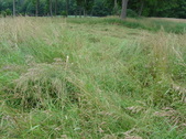 Enlarge photo 283