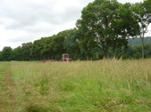 Enlarge photo 284