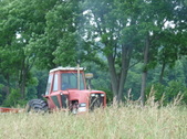 Enlarge photo 269