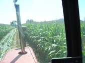 Enlarge photo 271