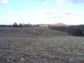Enlarge photo 287
