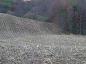 Enlarge photo 290
