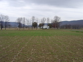Enlarge photo 295