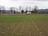 Enlarge photo 296