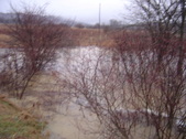 Enlarge photo 318