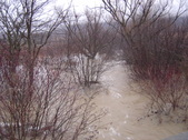 Enlarge photo 317